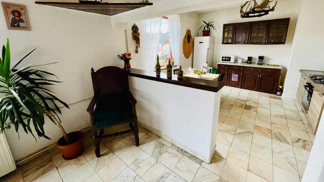 Kira Guest house Busteni