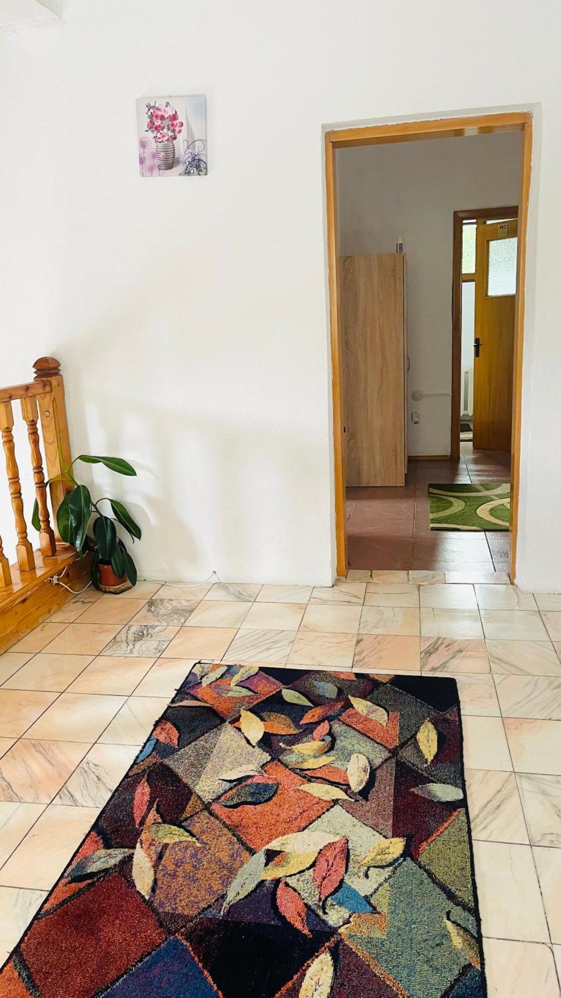 Guest house Kira Busteni